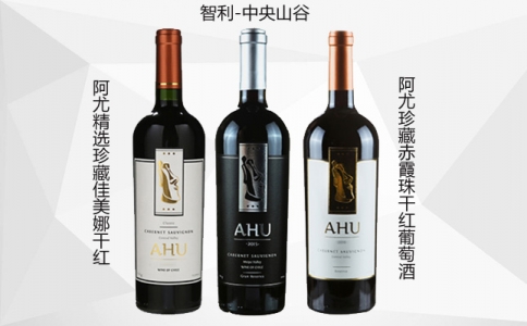 阿尤精選珍藏佳美娜赤霞珠干紅葡萄酒 智利AHU紅酒