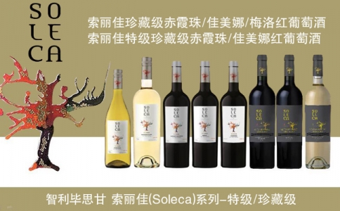 索麗佳特級(jí)珍藏佳美娜赤霞珠紅葡萄酒 智利畢思甘酒莊