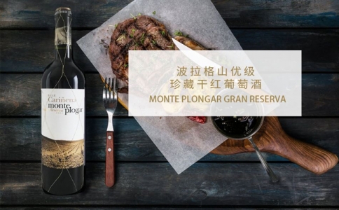 波拉格山優(yōu)級(jí)珍藏干紅葡萄酒 Bodega Paniza